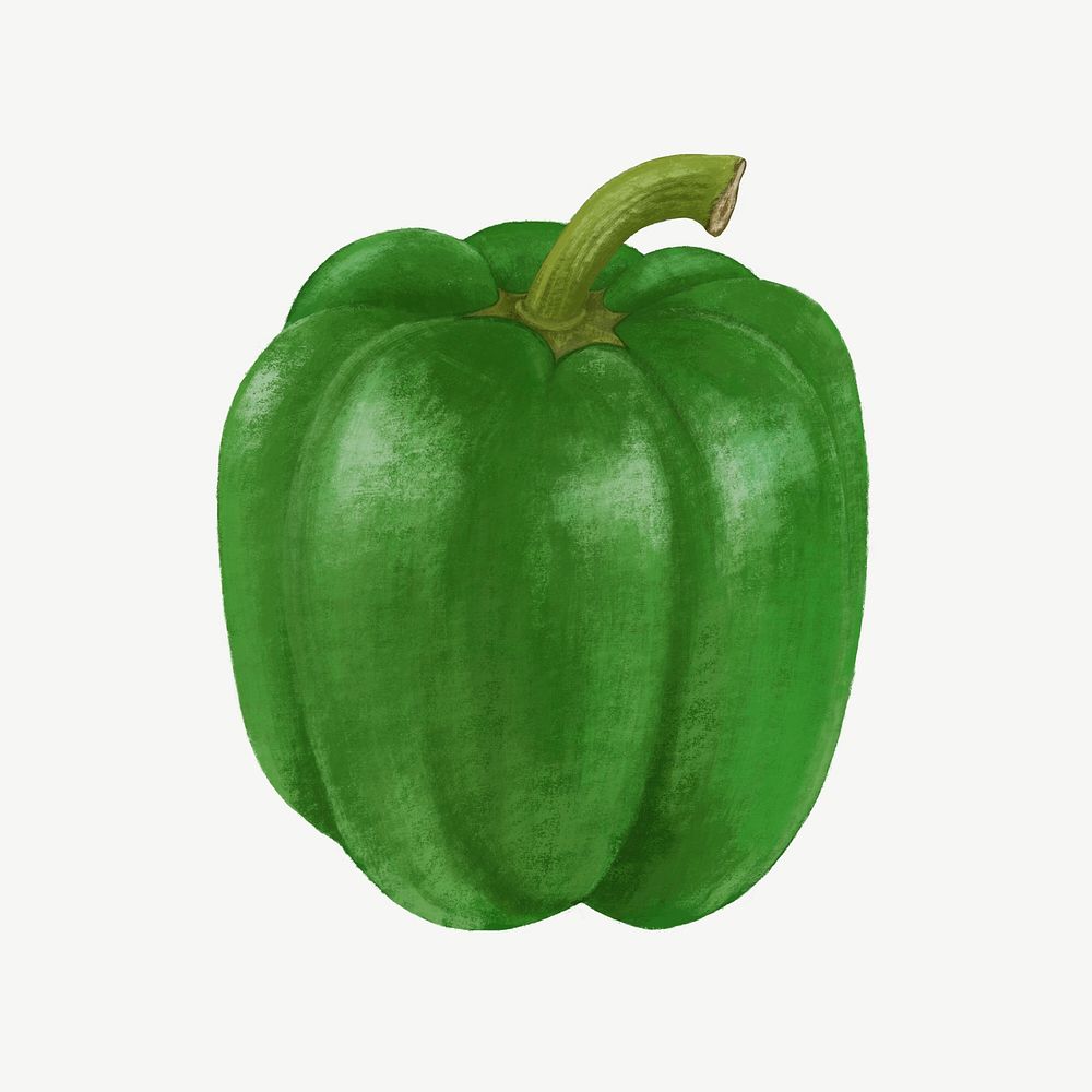 Green bell pepper vegetable, healthy food collage element psd