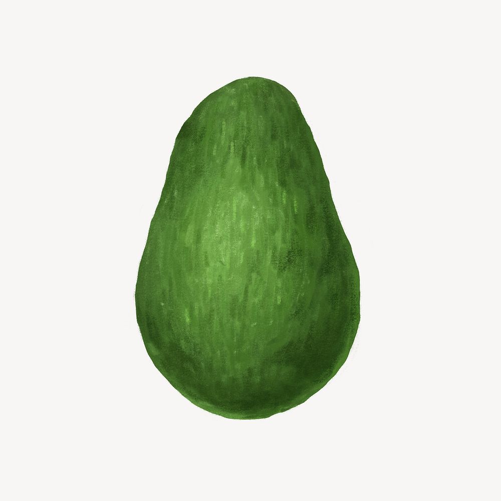 Avocado fruit, healthy food illustration