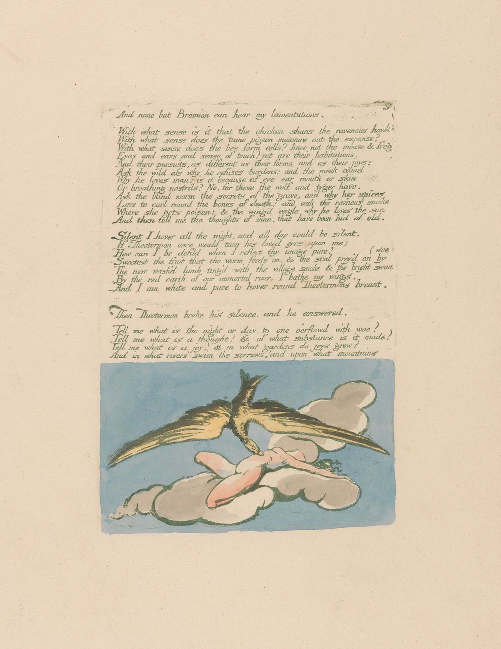 Visions of the Daughters of Albion, Plate 6, "And none but Bromian . . . . " by William Blake by William Blake