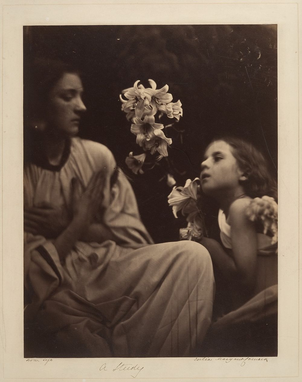 A Study by Julia Margaret Cameron