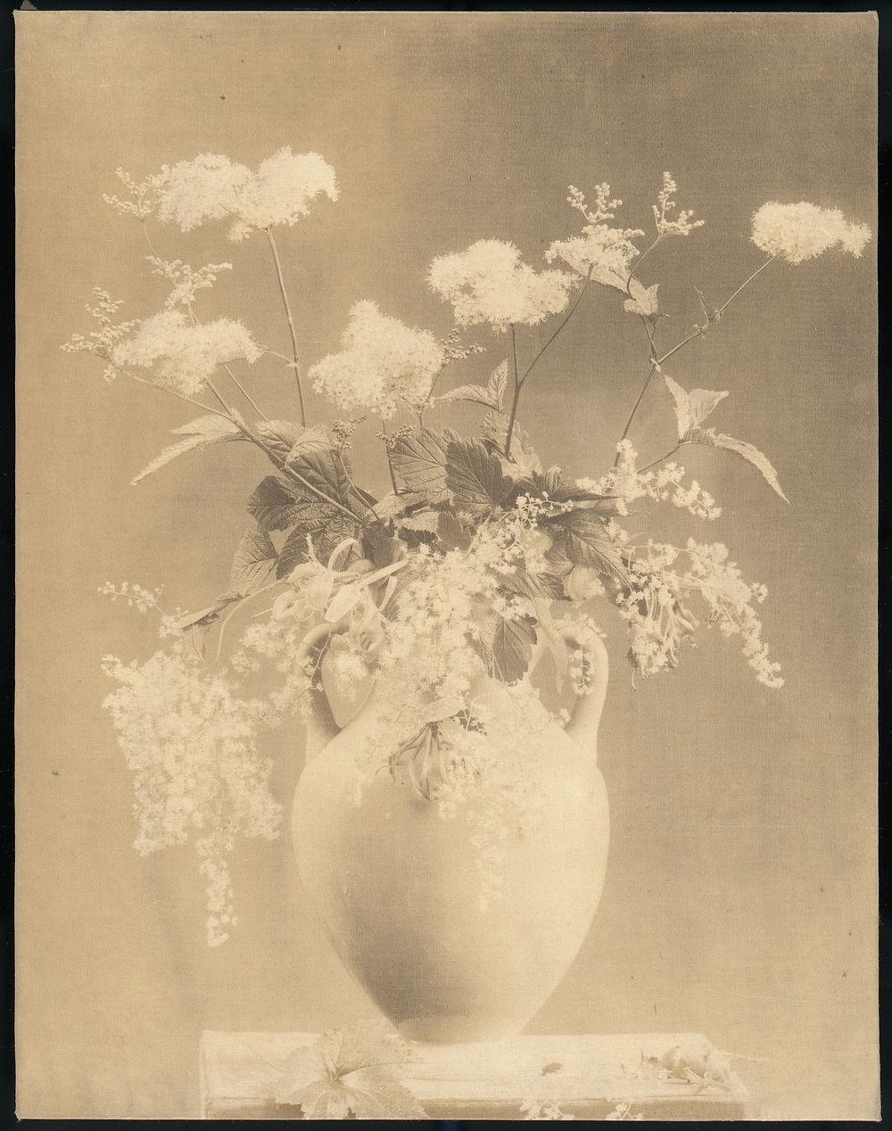 Vase of Flowers by Unknown