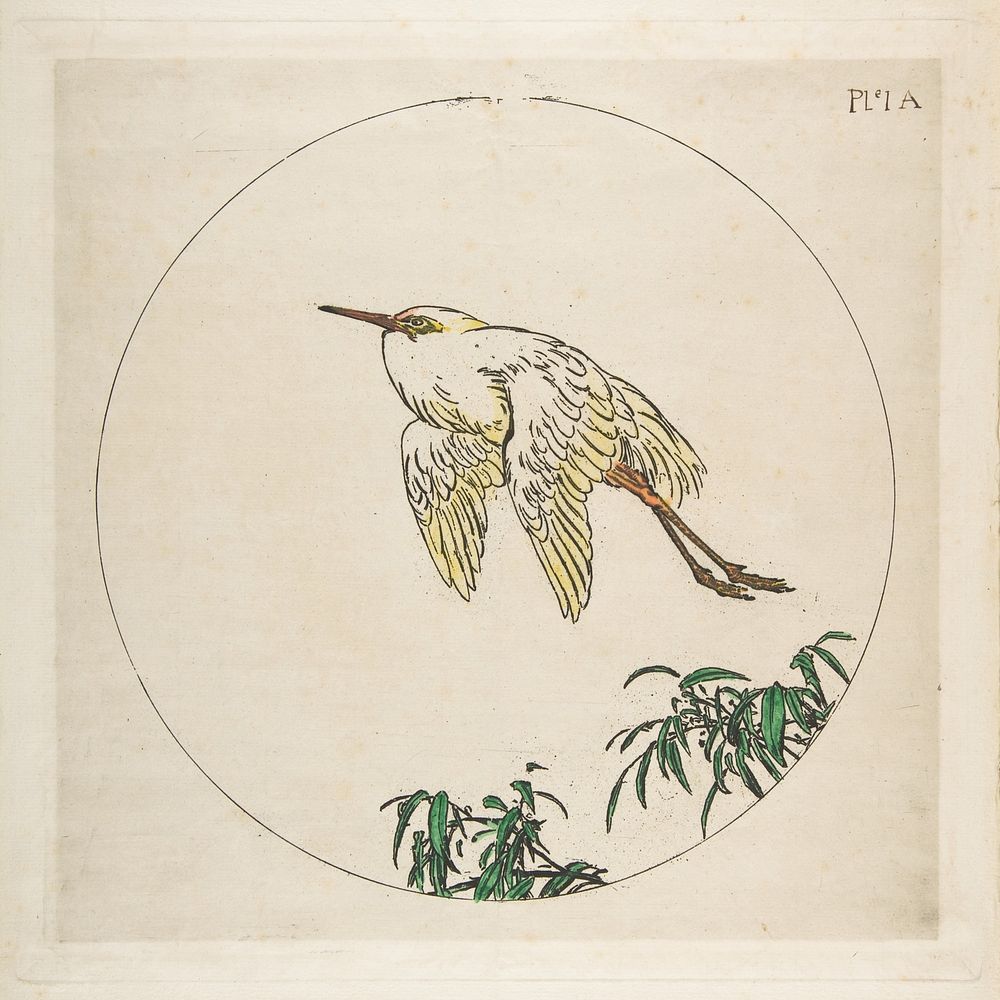 Decoration for a Plate: An Egret Flying Above Bamboo Branches by Félix Bracquemond
