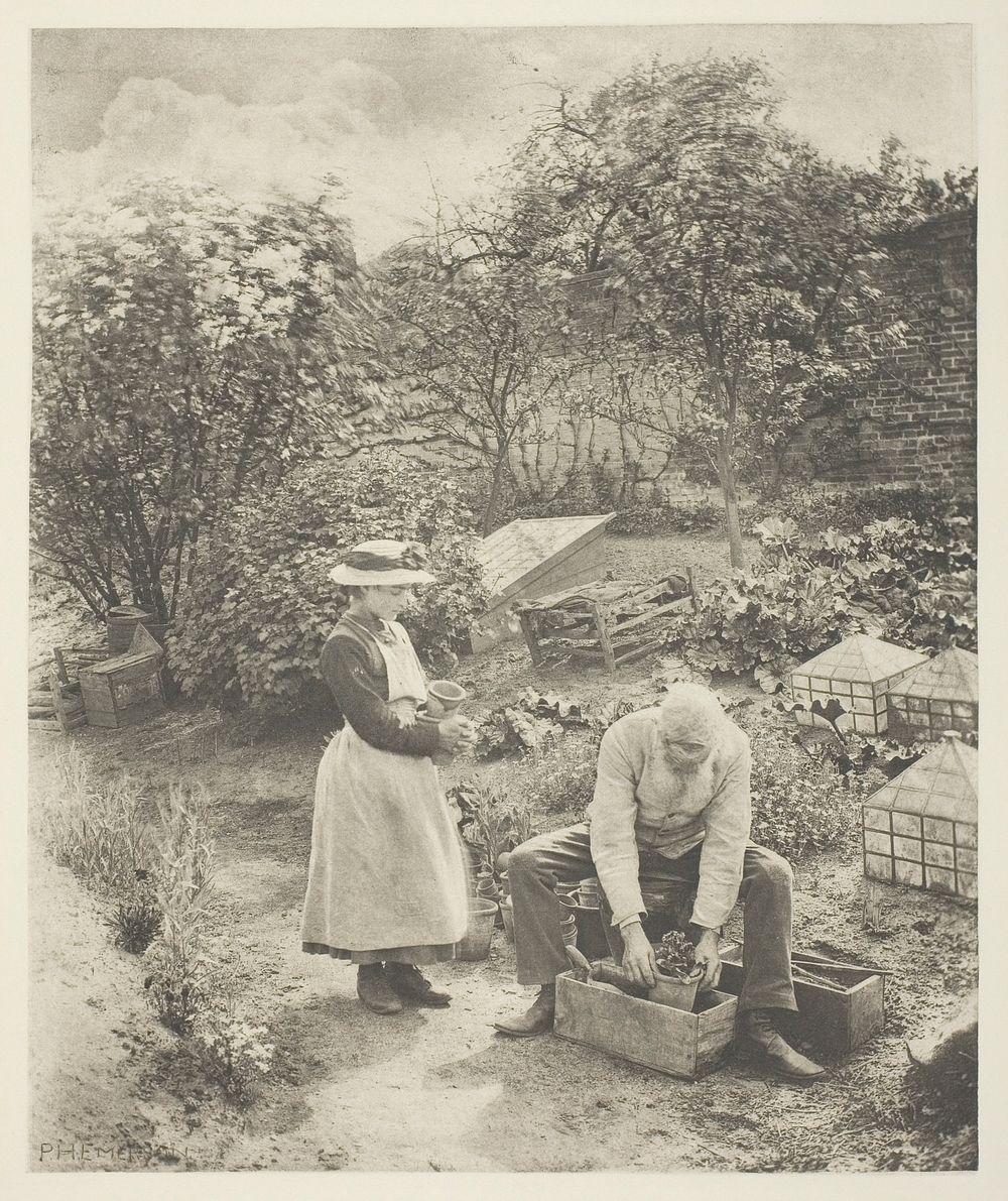 A Garden End (Suffolk) by Peter Henry Emerson