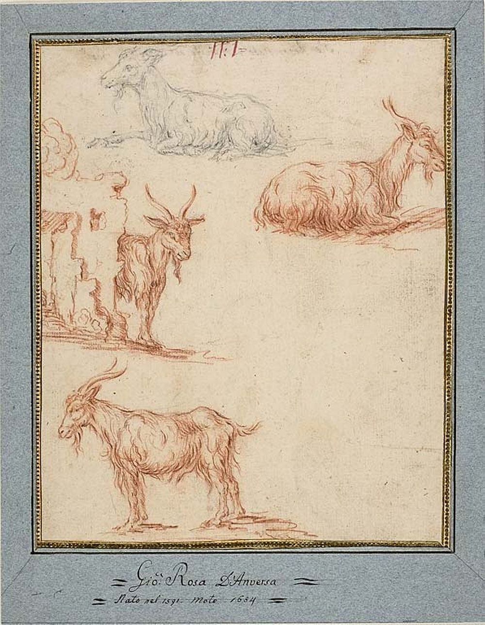 Studies of Goats by Jan Roos, I
