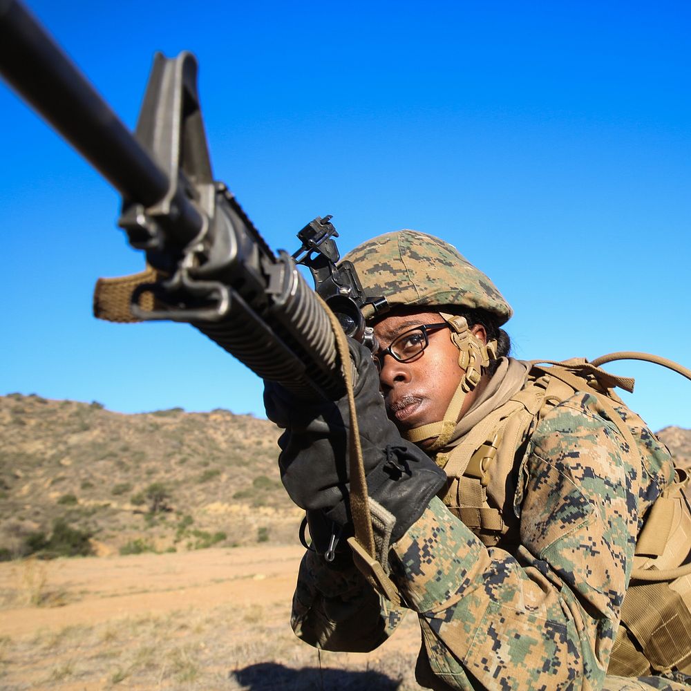 Lance Cpl. Alyse Griffis, a Detroit native and a landing support specialist with Combat Logistics Battalion 11, 1st Marine…