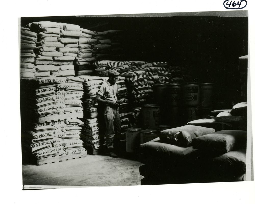 Sacks and drums of pesticides are neatly stored in a warehouse.  A man stands among pallets of sacks and drums of pesticides…