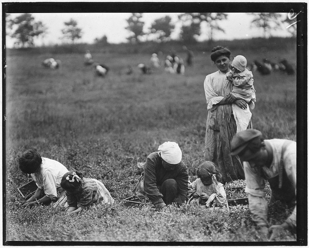 Frances Frigineto, 3 years old, Marie Frigineto, 5 years old, latter been picking two years, September 1910. Photographer:…