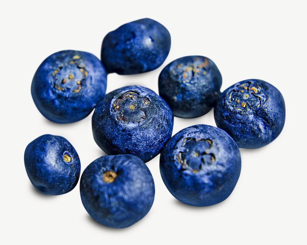 Blueberries image graphic psd
