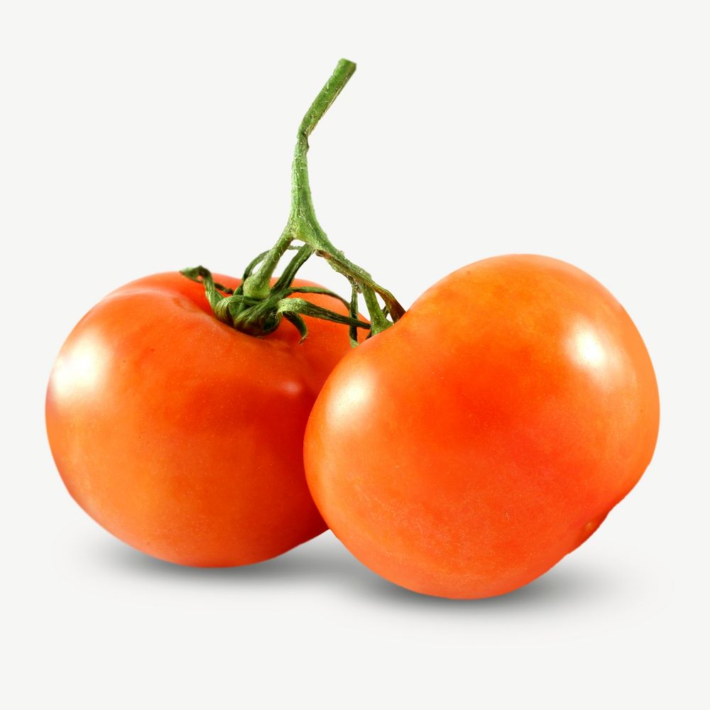 Tomatoes image graphic psd Premium PSD