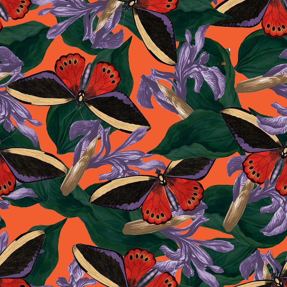 Butterfly seamless pattern background, exotic nature background remix from The Naturalist's Miscellany by George Shaw