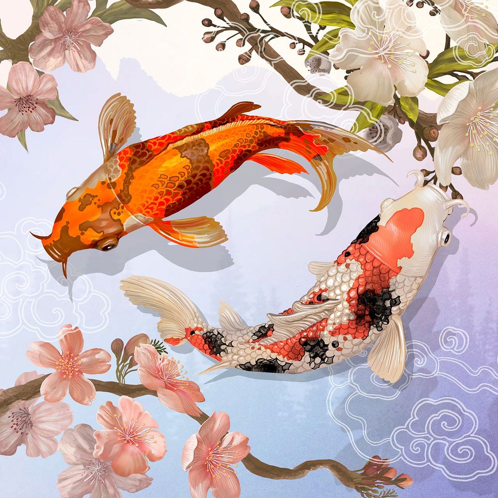 Japanese koi fish, traditional aesthetic illustration