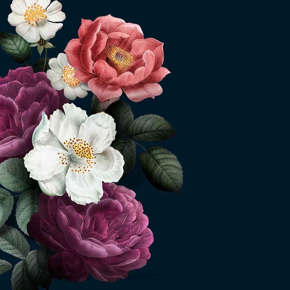 Aesthetic vintage flower borer, navy blue background illustration