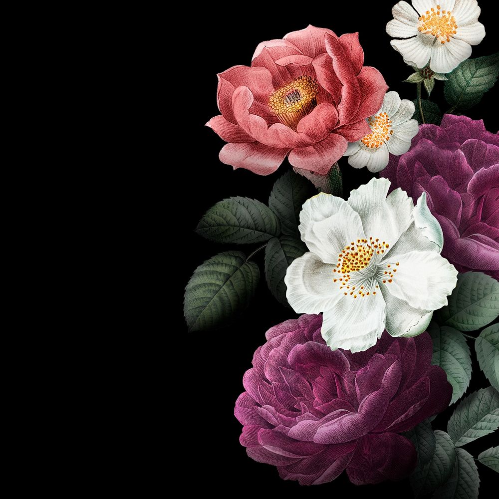 Aesthetic floral border black background illustration