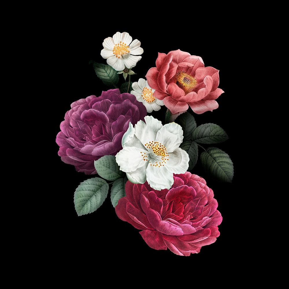 Aesthetic watercolor flower bouquet, vintage botanical illustration