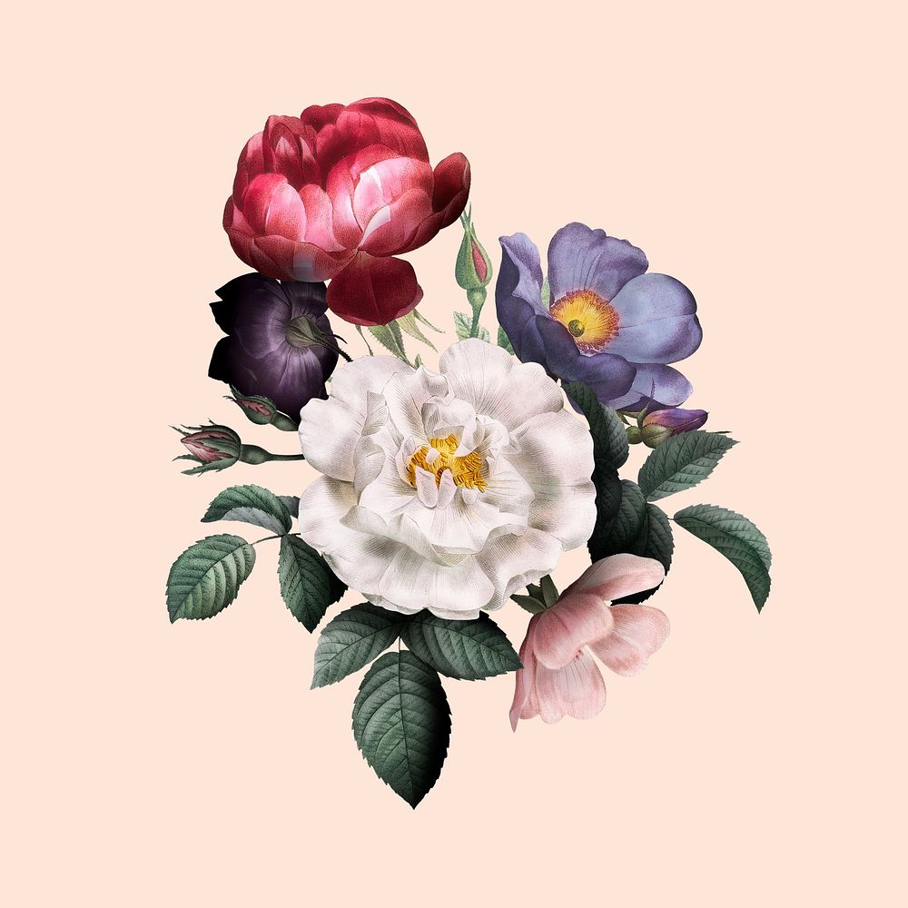 Aesthetic watercolor flower bouquet, vintage botanical illustration