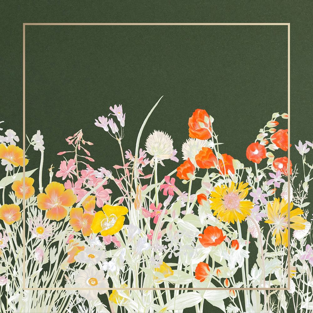 Square gold frame, flower border illustration