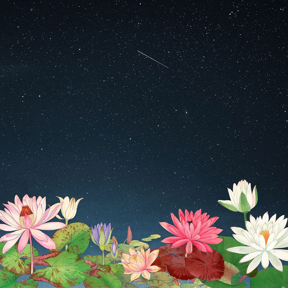 Starry sky lotus border background. Remixed by rawpixel.