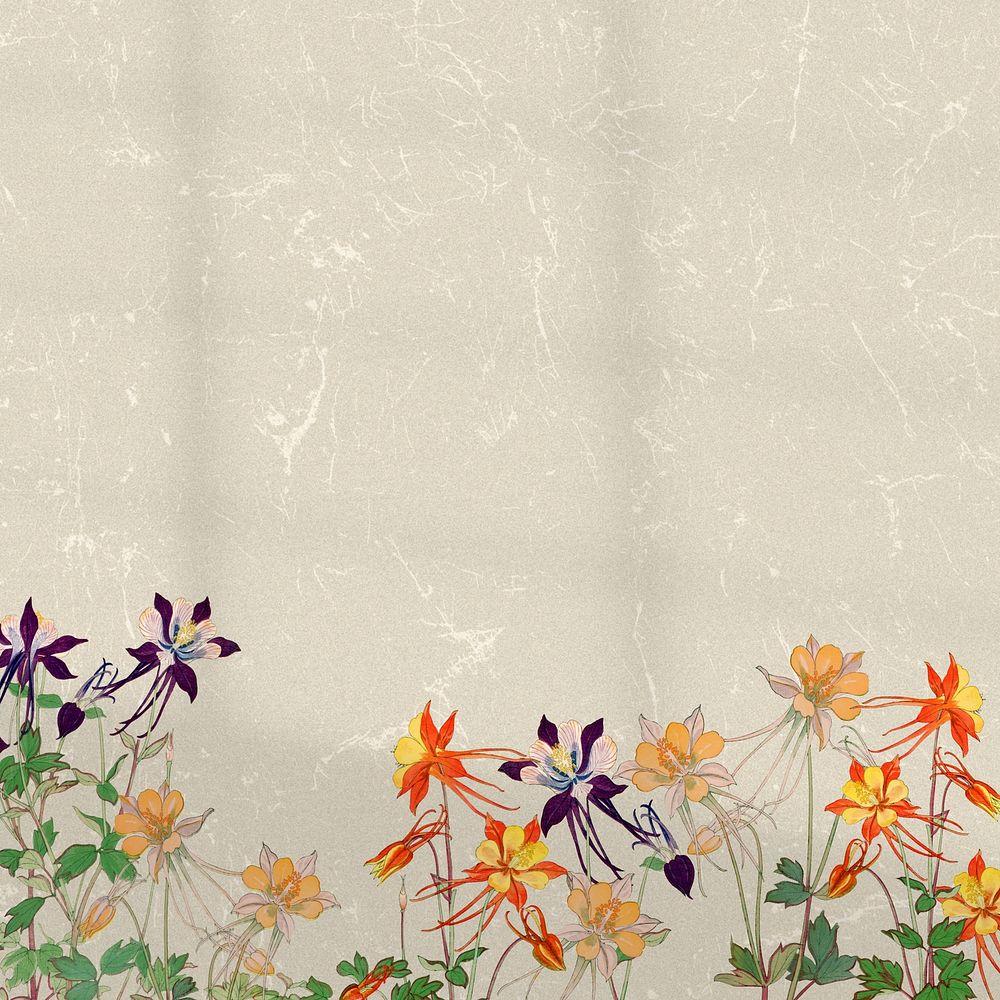 Vintage columbine flower border background. Remixed by rawpixel.