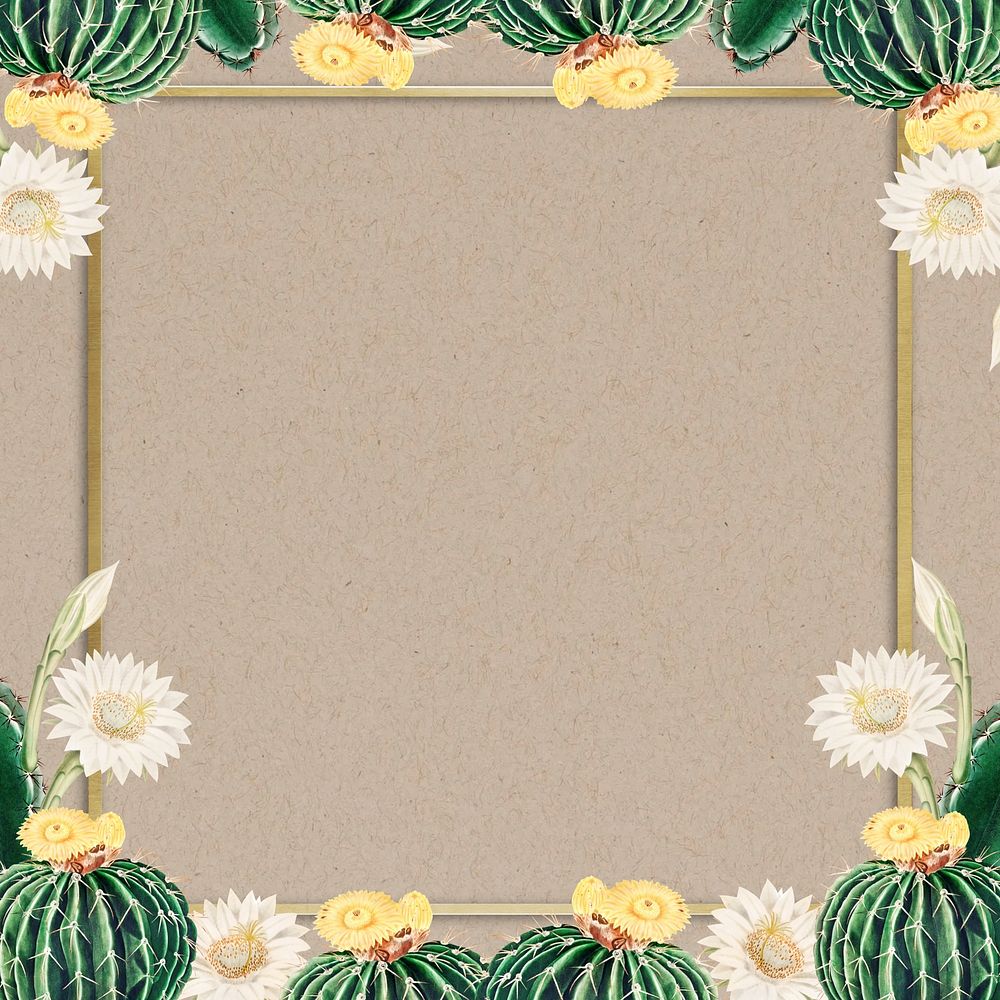 Beige cactus frame background, design with copy space