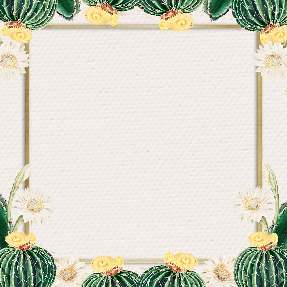 Aesthetic botanical frame, design with copy space