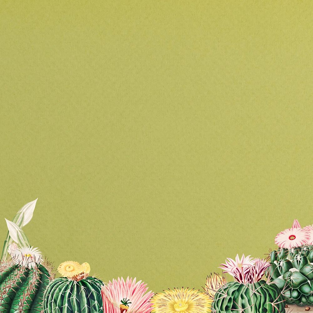Green watercolor cactus border background design