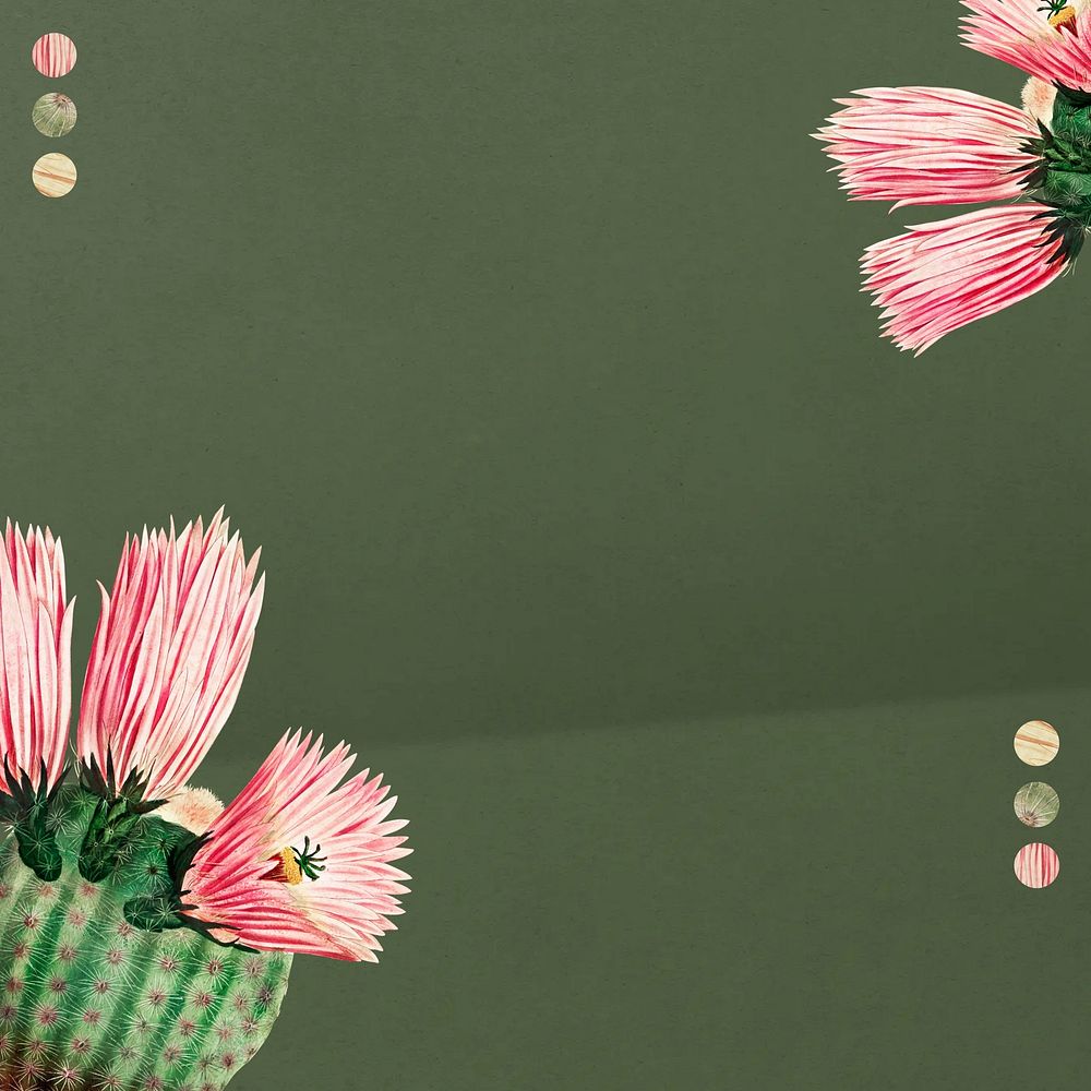 Blooming cactus, green background design