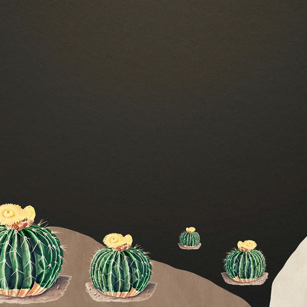 Cactus border, dark background design