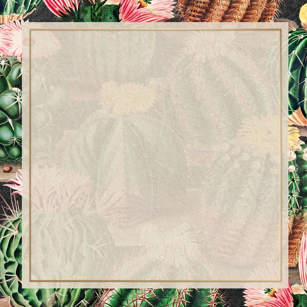 Cactus pattern frame, design with copy space