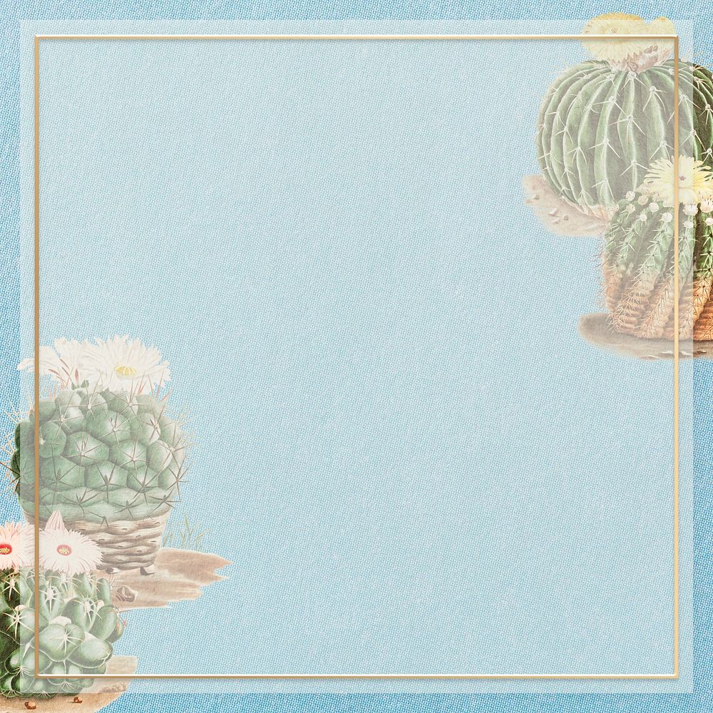 Pastel blue cactus frame, design with copy space