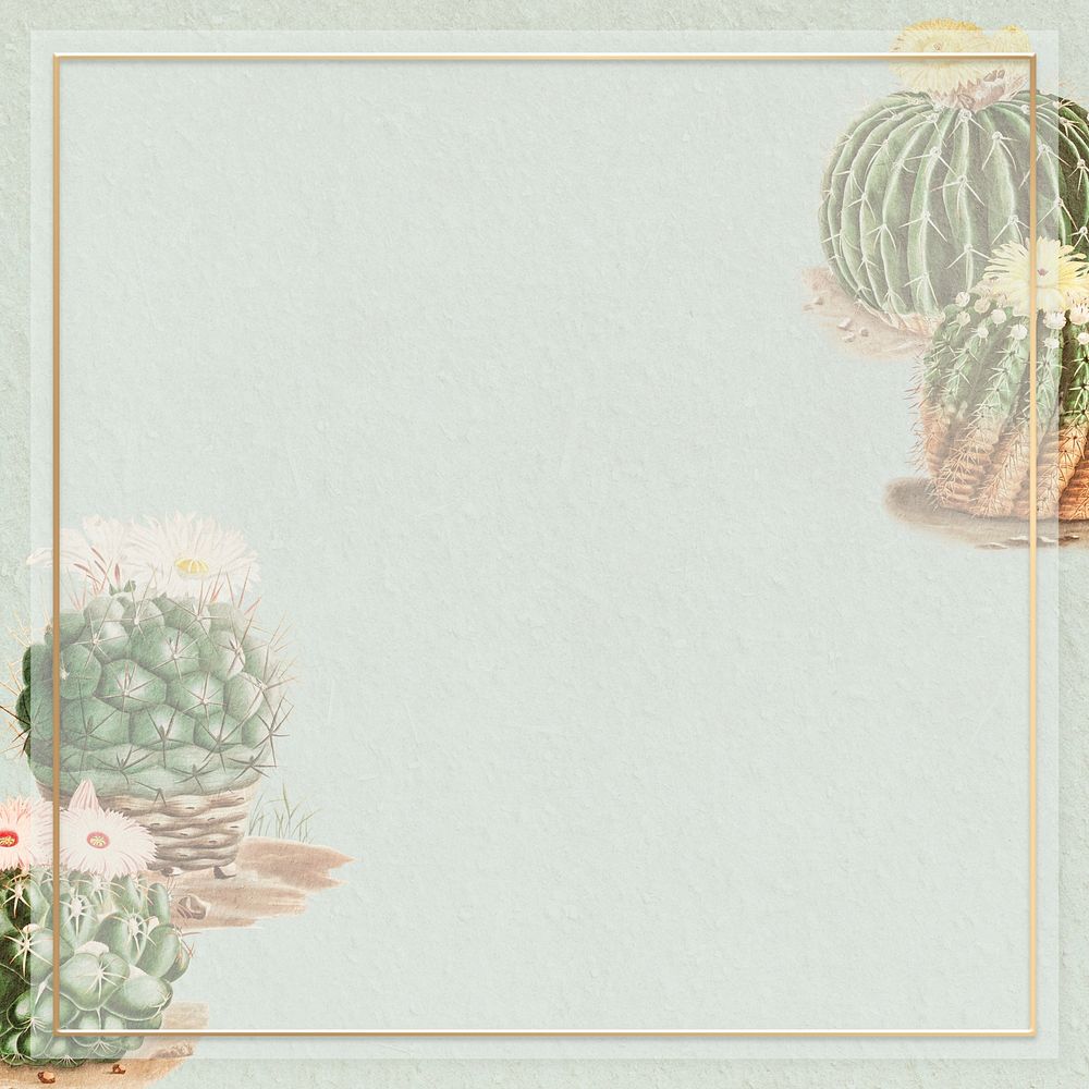 Watercolor cactus frame, design with copy space