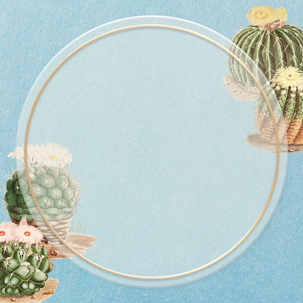Pastel blue cactus frame, design with copy space