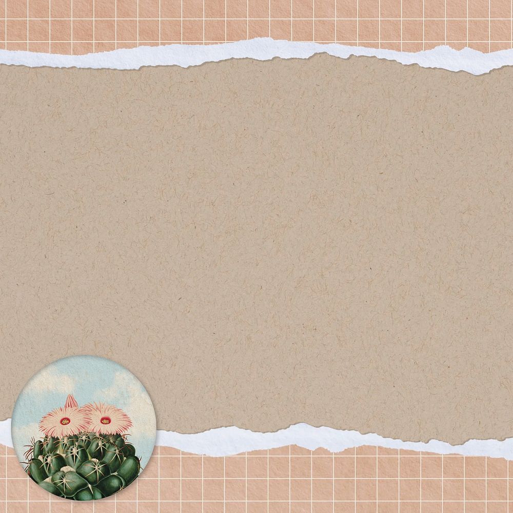 Beige ripped paper, cactus background design