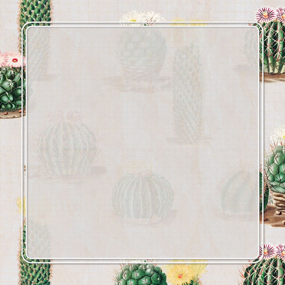 Gray cactus frame, design with copy space