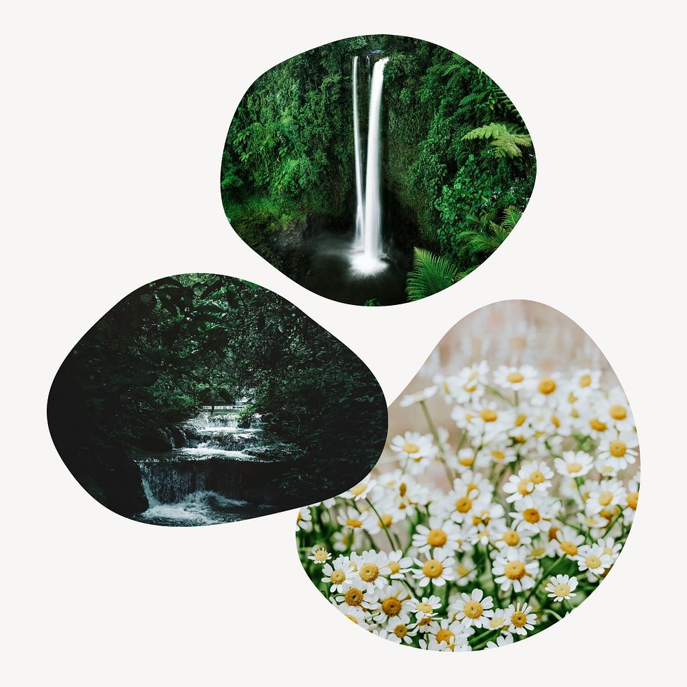 Waterfall and chamomile flowers badges, isolated on white background