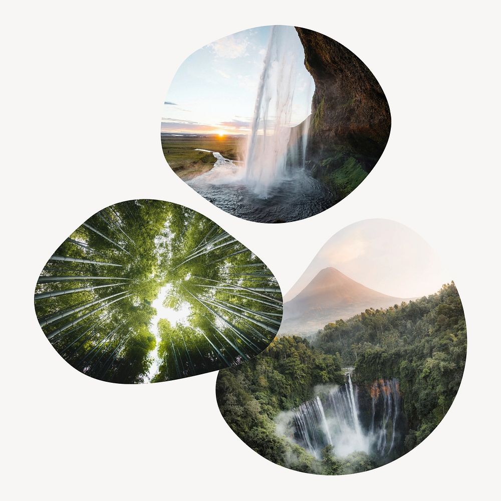 Waterfall and forest badges isolated on white background