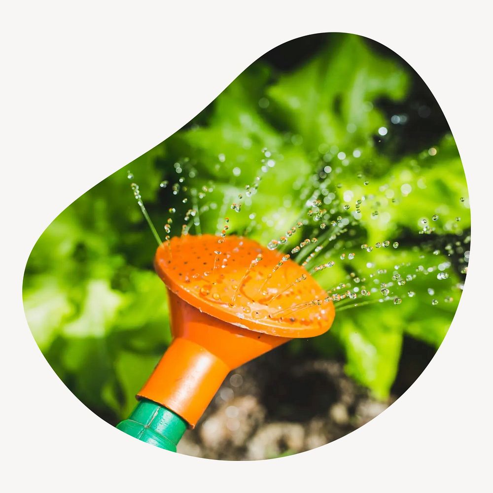 Watering plants badge isolated on white background