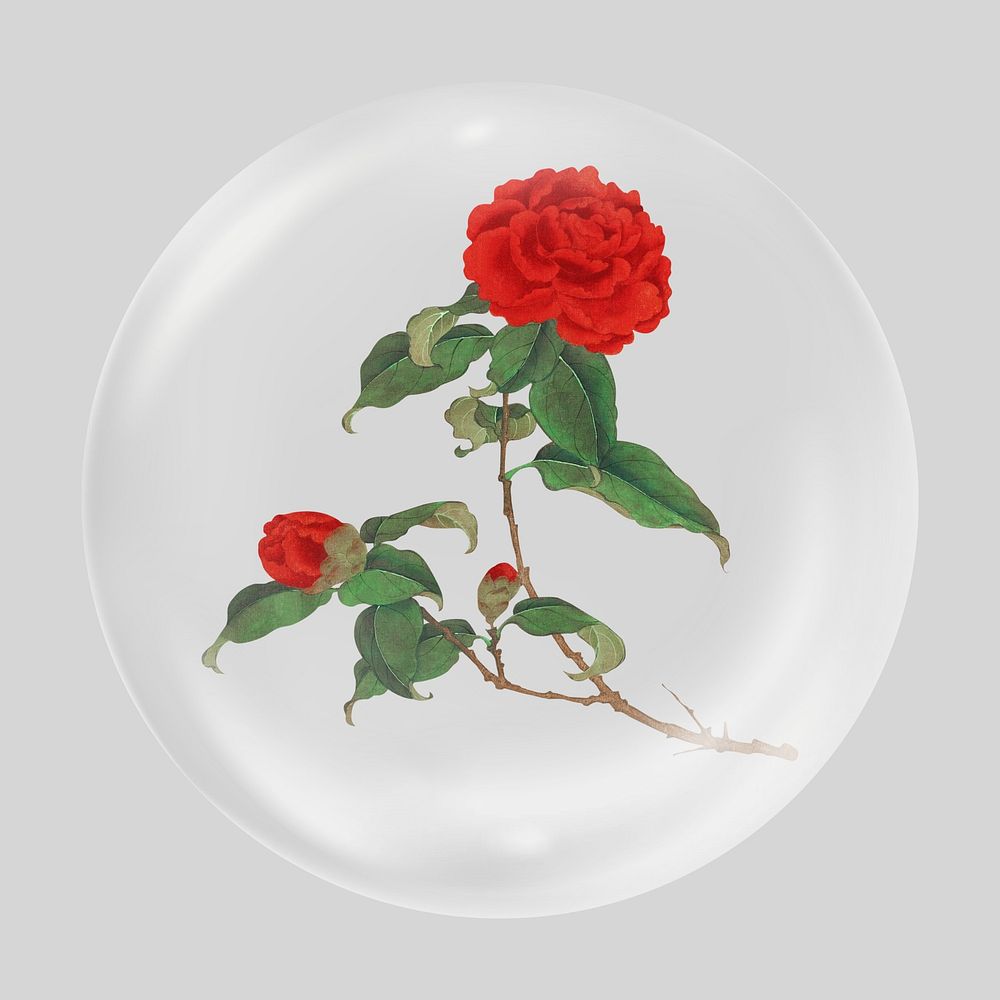 Red camellia flower in bubble. Remixed by rawpixel.