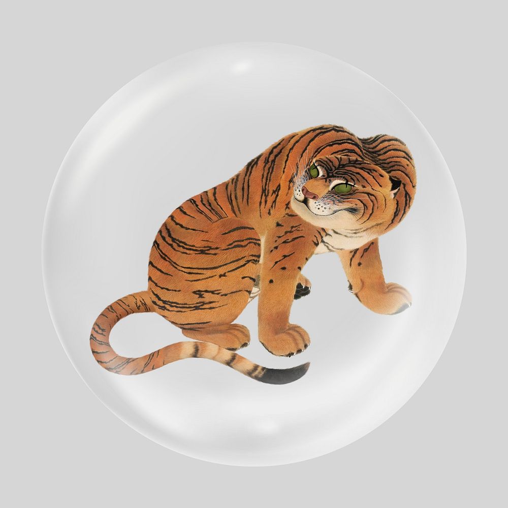 Japanese wild tiger in bubble. Remixed by rawpixel.