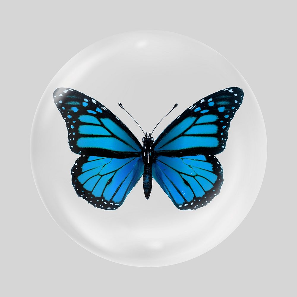 Blue butterfly in bubble. Remixed by rawpixel.