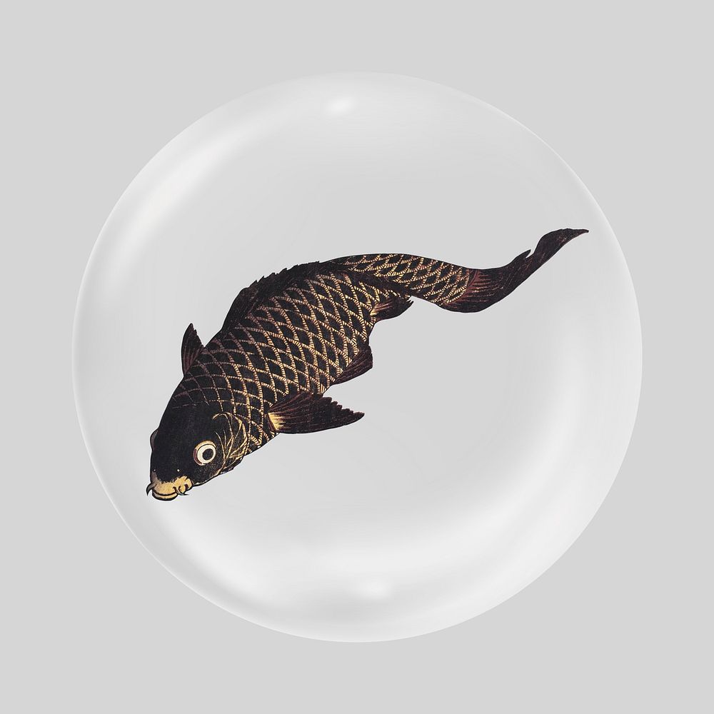 Japanese koi fish in bubble. Remixed by rawpixel.