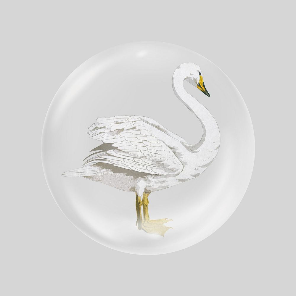 Vintage swan  in bubble. Remixed by rawpixel.