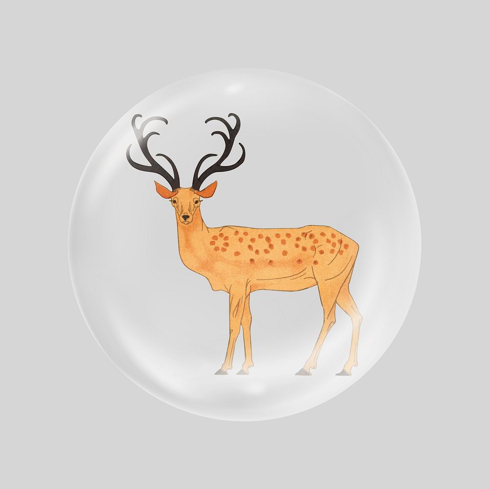 Stag, wild animal in bubble. Remixed by rawpixel.