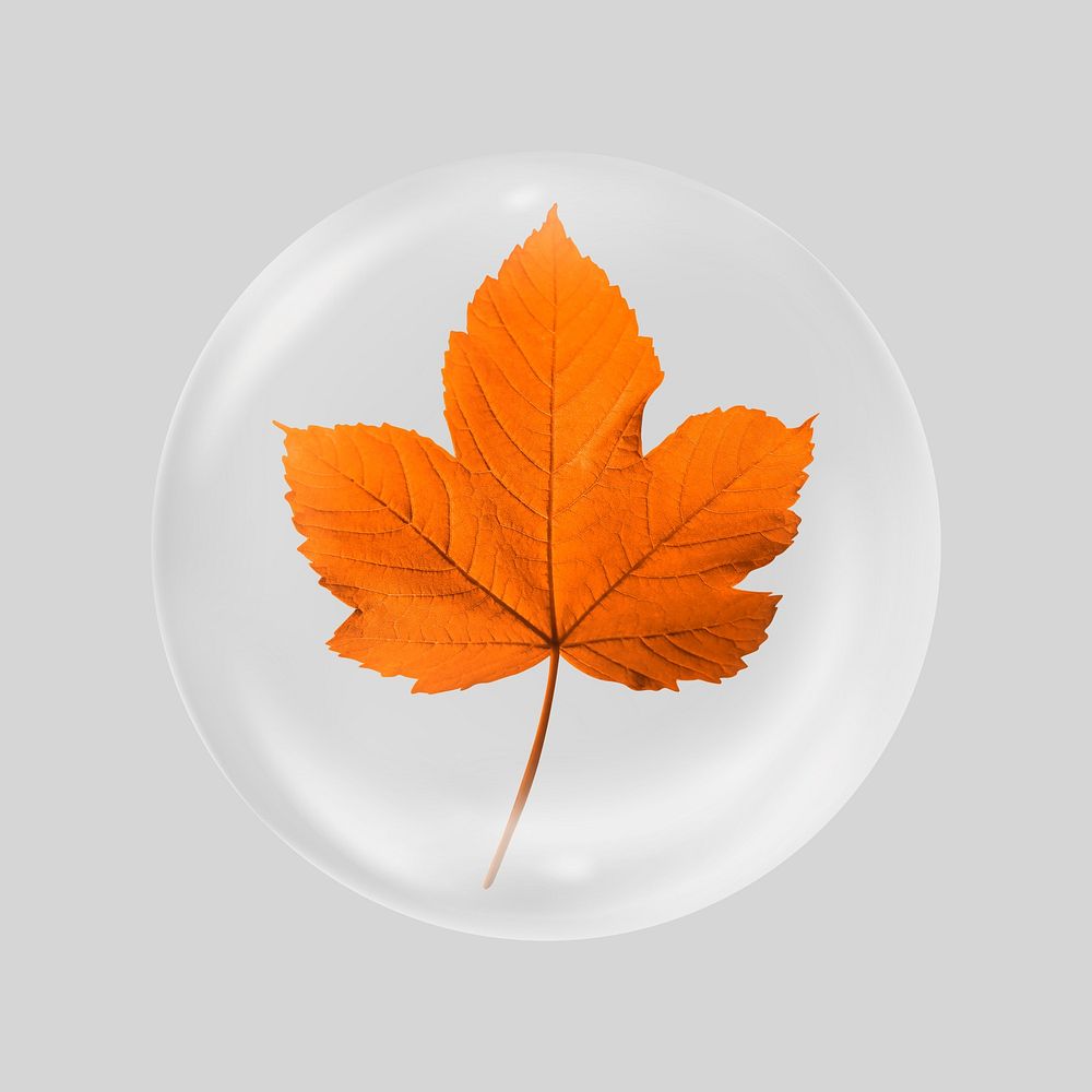 Maple leaf in bubble. Remixed by rawpixel.