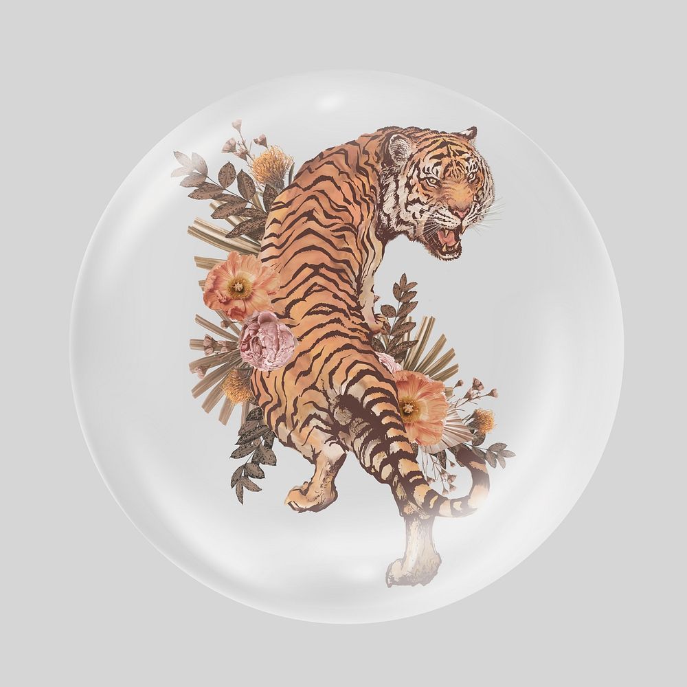 Aesthetic wild tiger in bubble, mixed media design