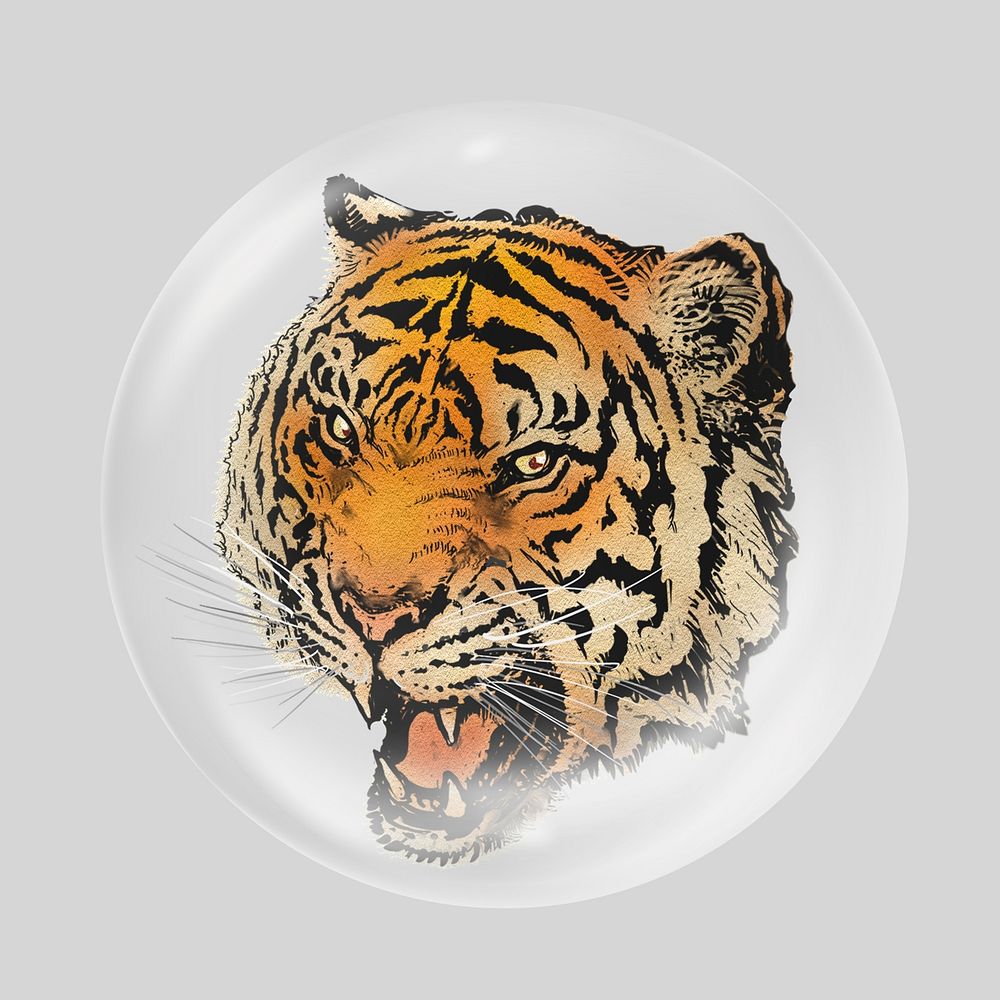 Roaring tiger in bubble, animal illustration
