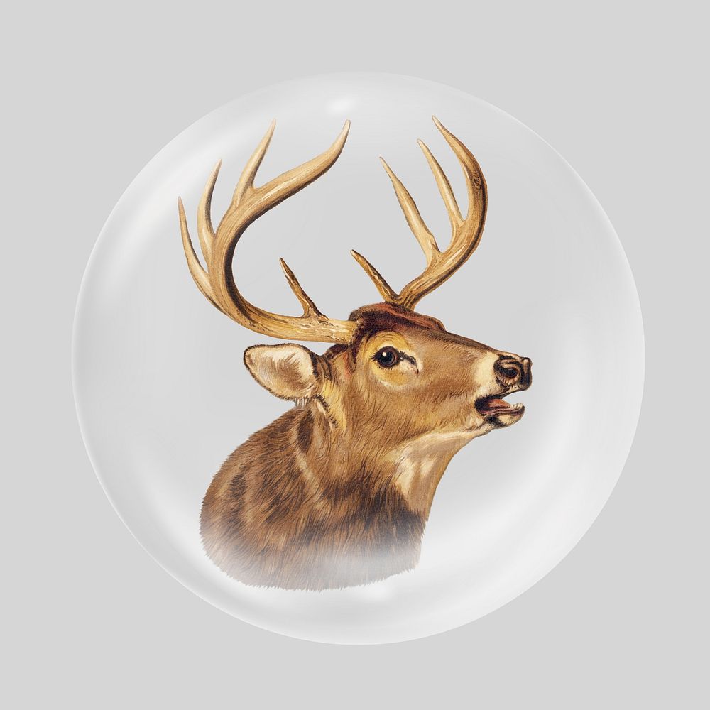Vintage stag head  in bubble. Remixed by rawpixel.