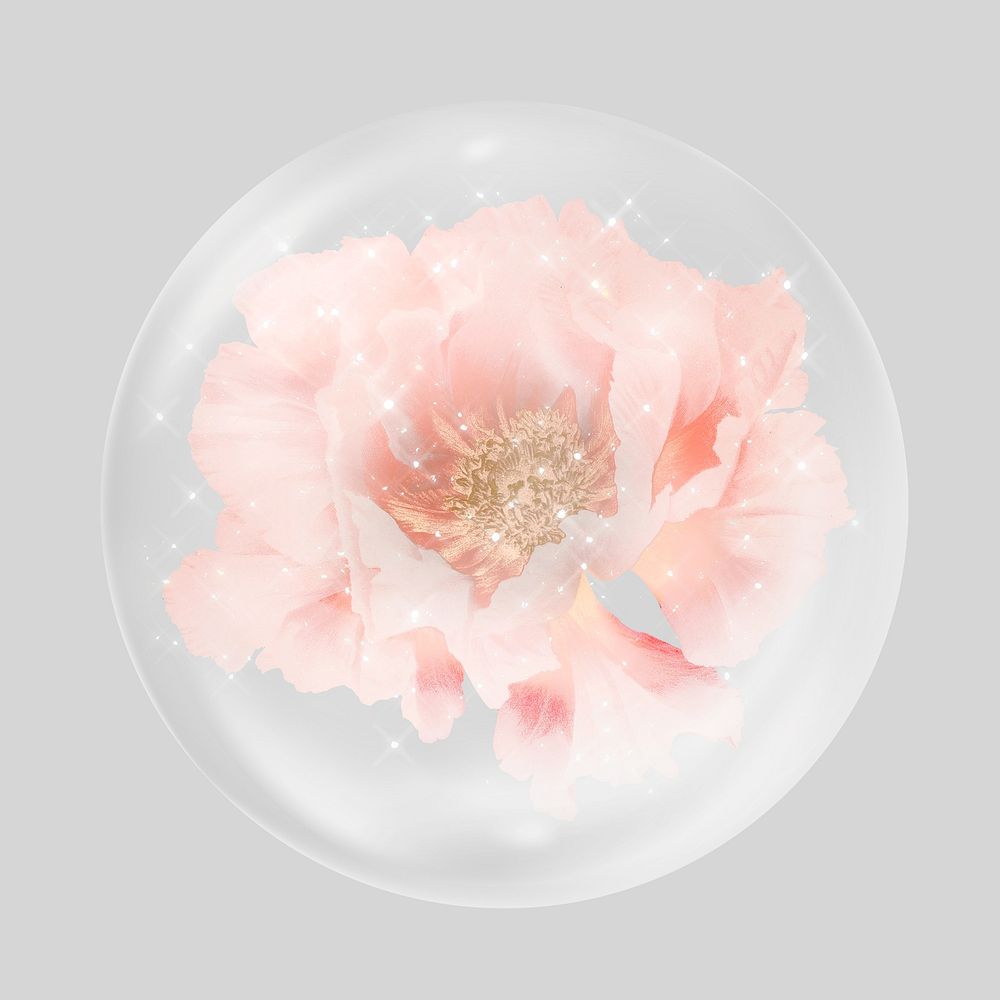 Aesthetic pink peony  in bubble. Remixed by rawpixel.