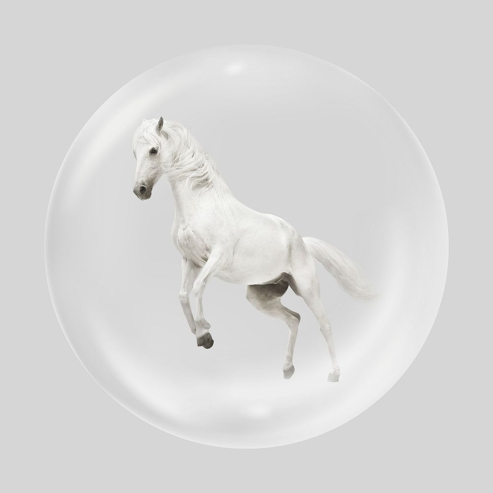 White horse bubble, animal clipart