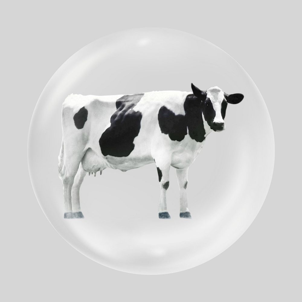 Standing cow bubble, animal clipart