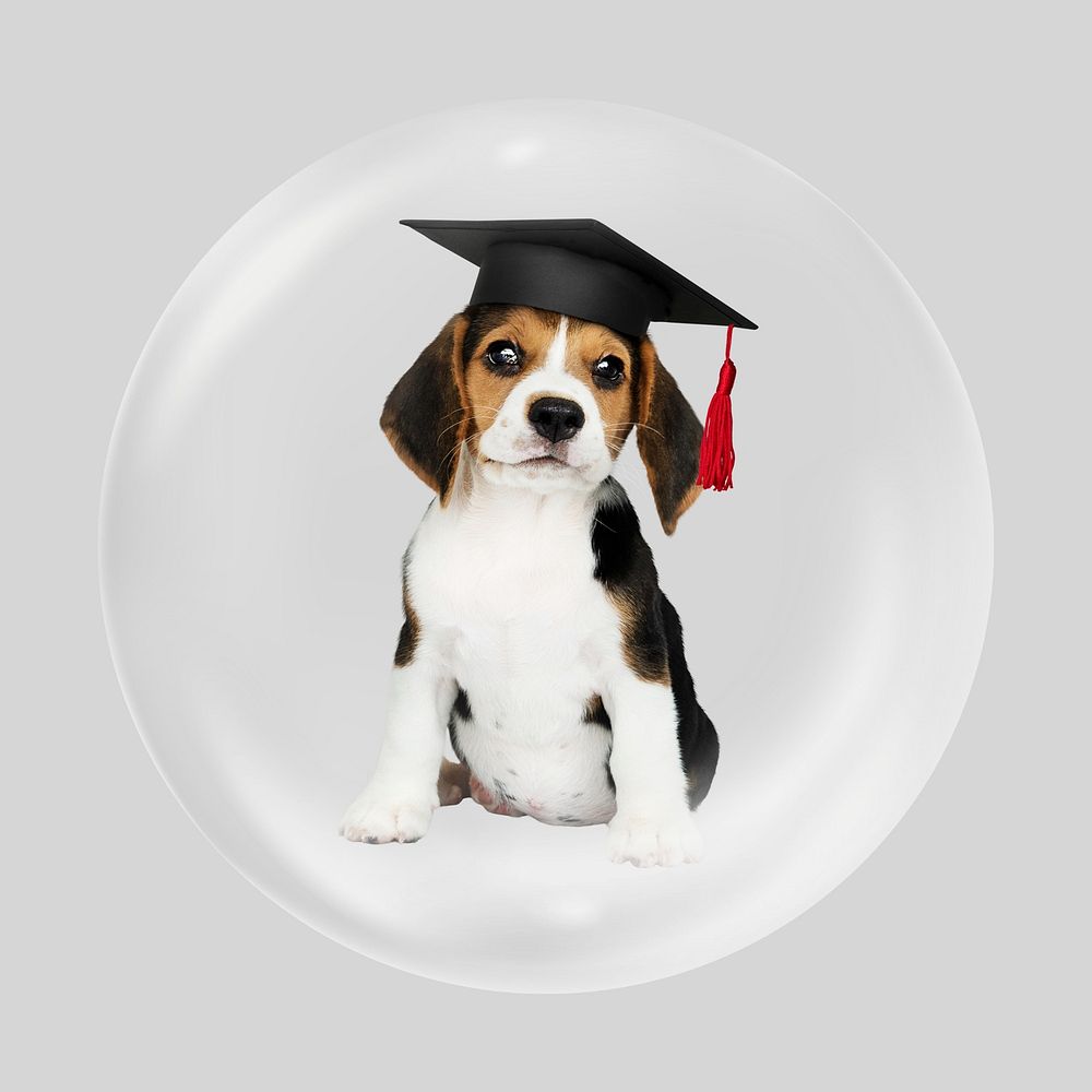Graduated puppy bubble, animal clipart